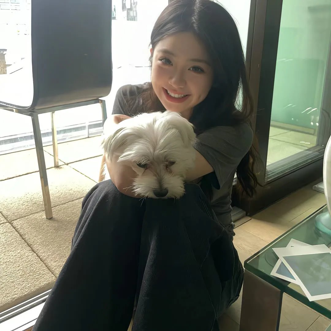 毁灭状态